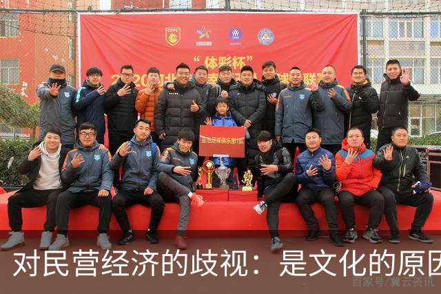 对民营经济的歧视：是文化的原因，还是意识形态的推动